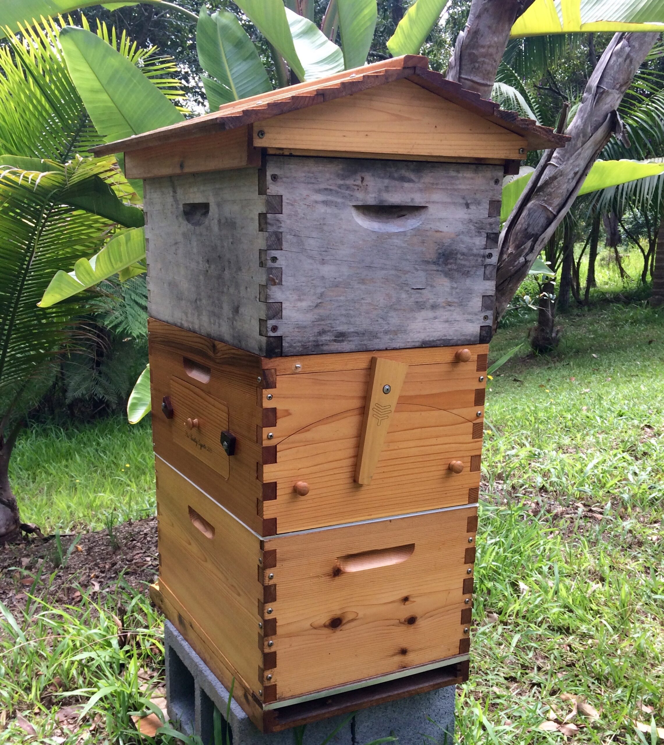 flow hive management