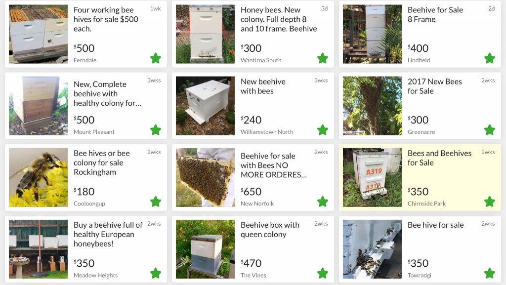 established beehives for sale on gumtree
