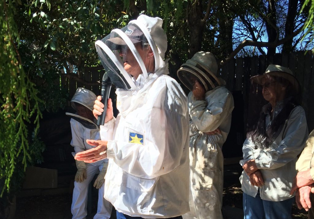 beekeepers wearing veils