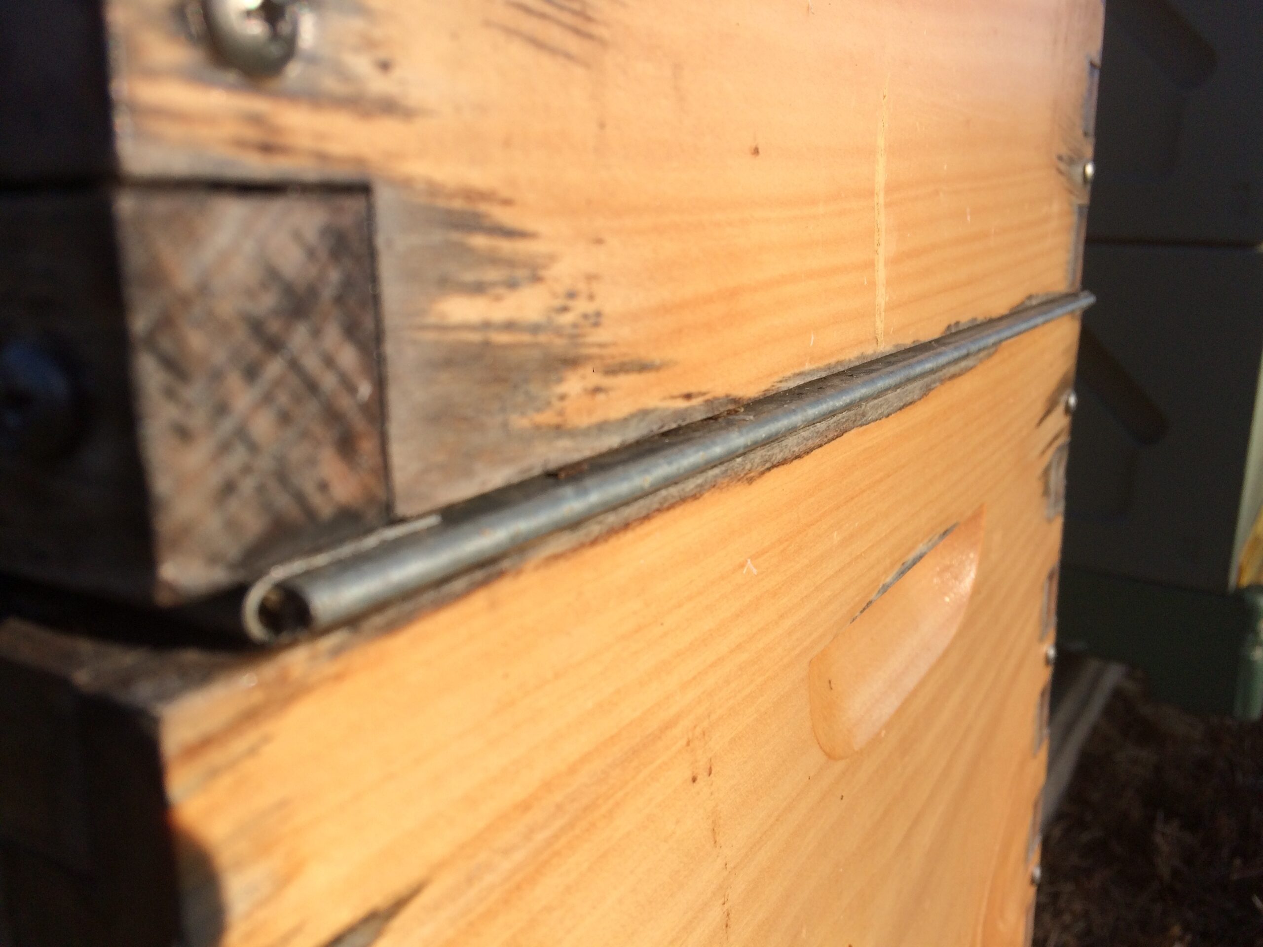 Queen excluder pros and cons